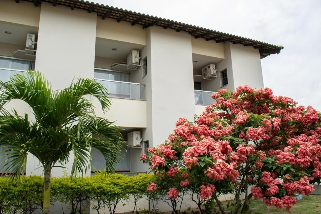 Un edificio con varios balcones, unidades de aire acondicionado y una variedad de plantas, incluyendo una palmera y un arbusto con flores.