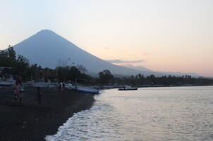 Vista desde la propiedad