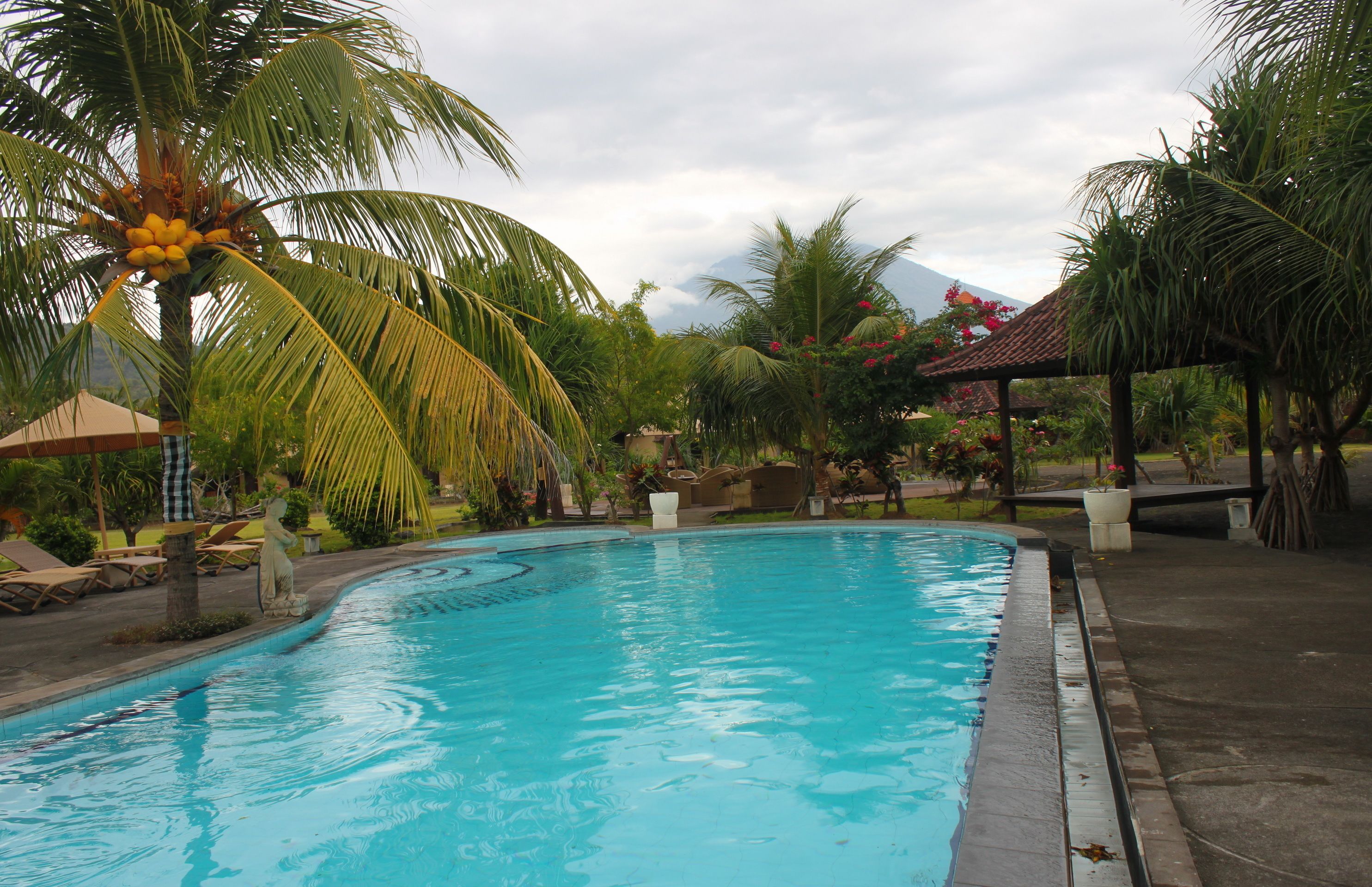 A swimming pool surrounded by palm trees and lounge chairs.