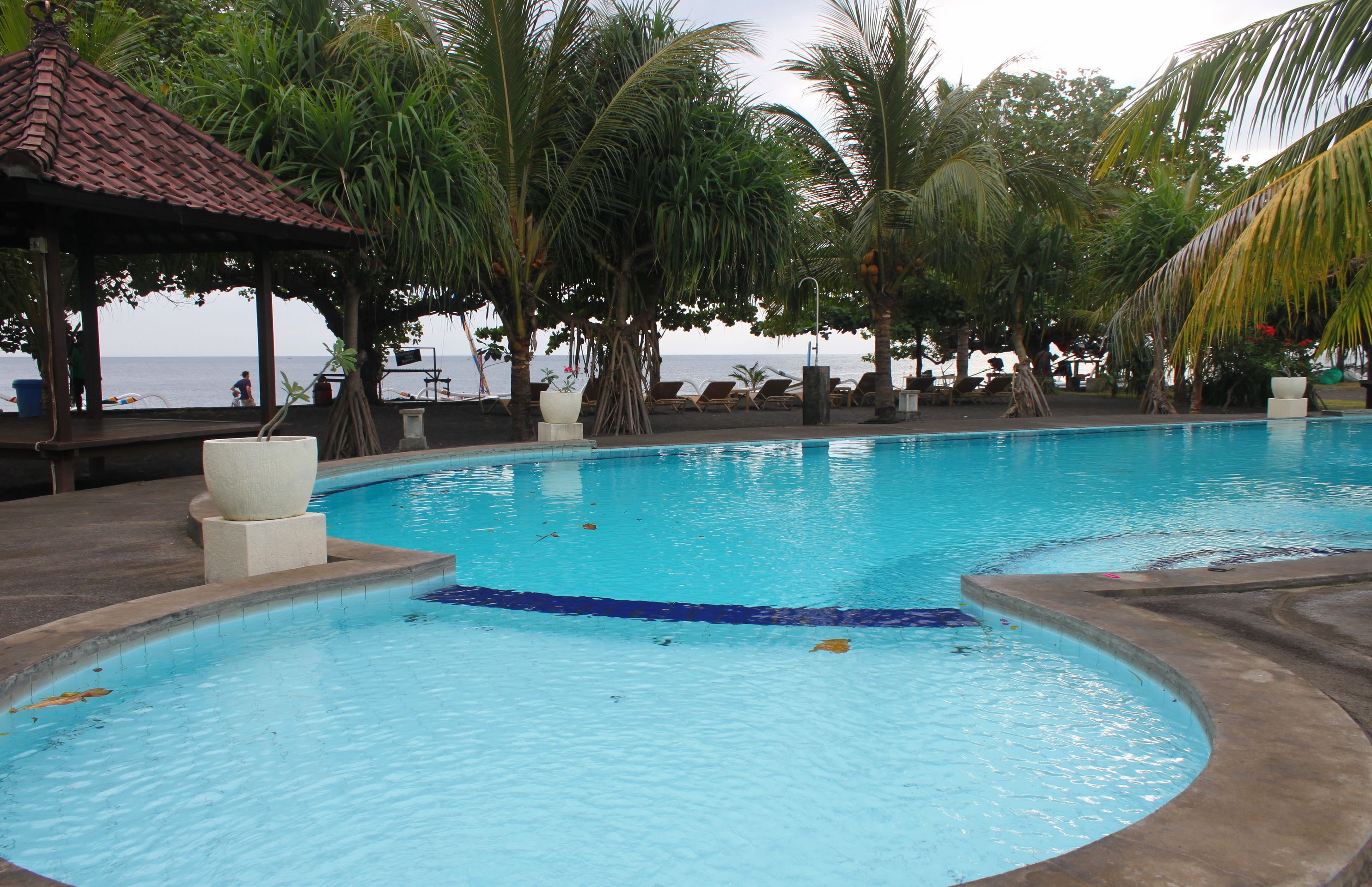 Piscina com borda curva, cercada por palmeiras e espreguiçadeiras.