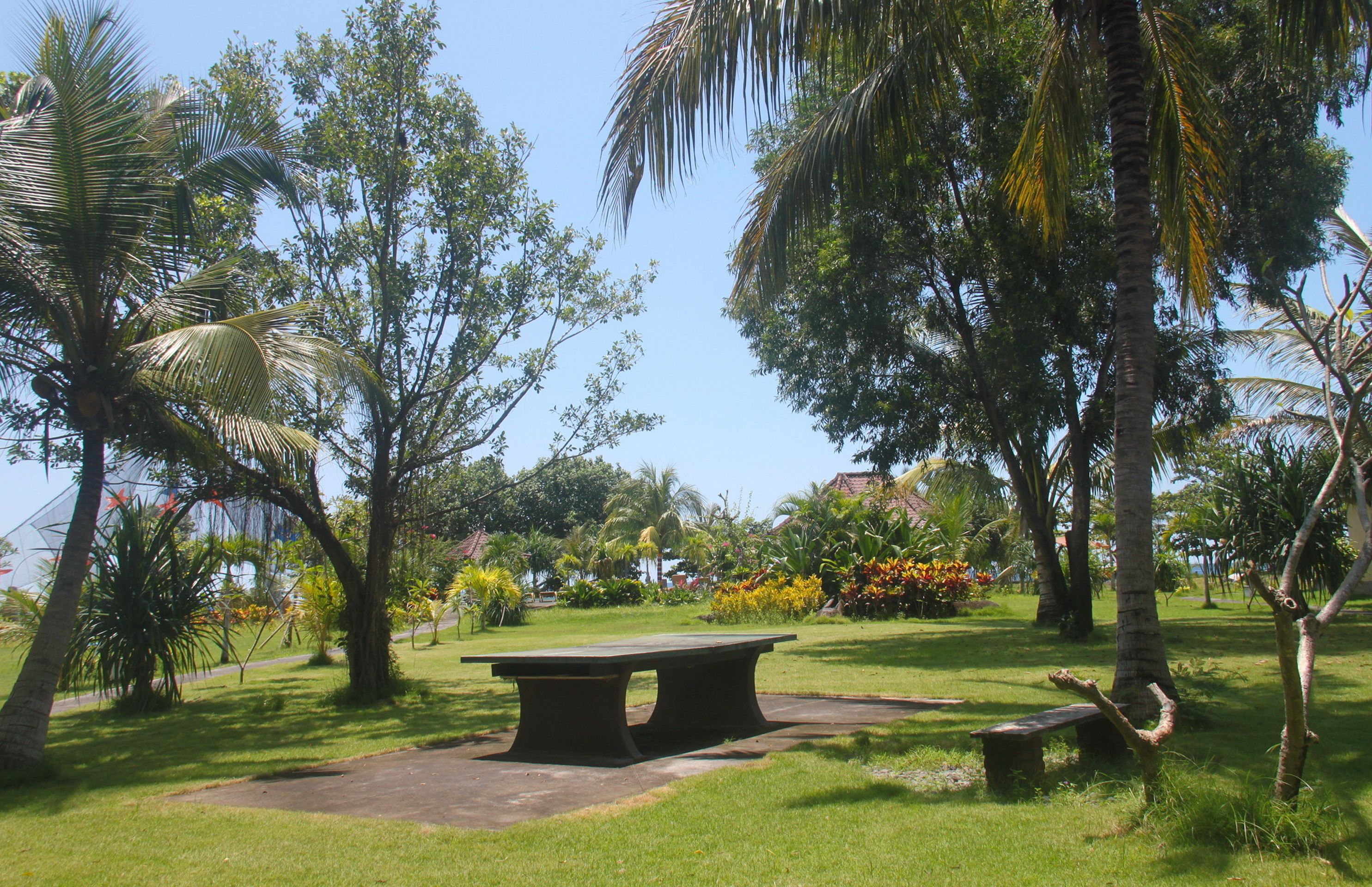 A park with a picnic table and benches, surrounded by palm trees and tropical plants.