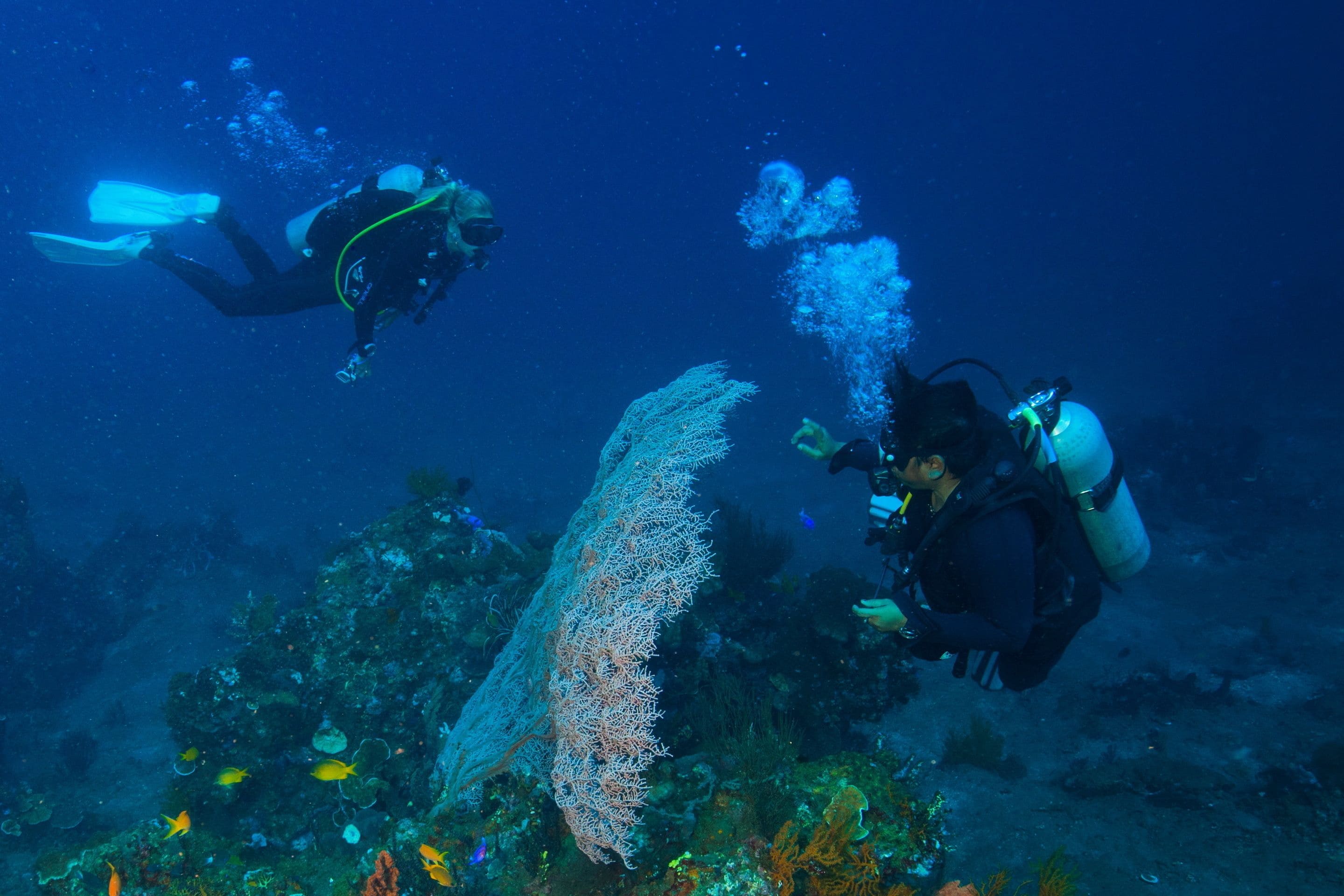 Two divers exploring an underwater reef with coral formations and marine life.