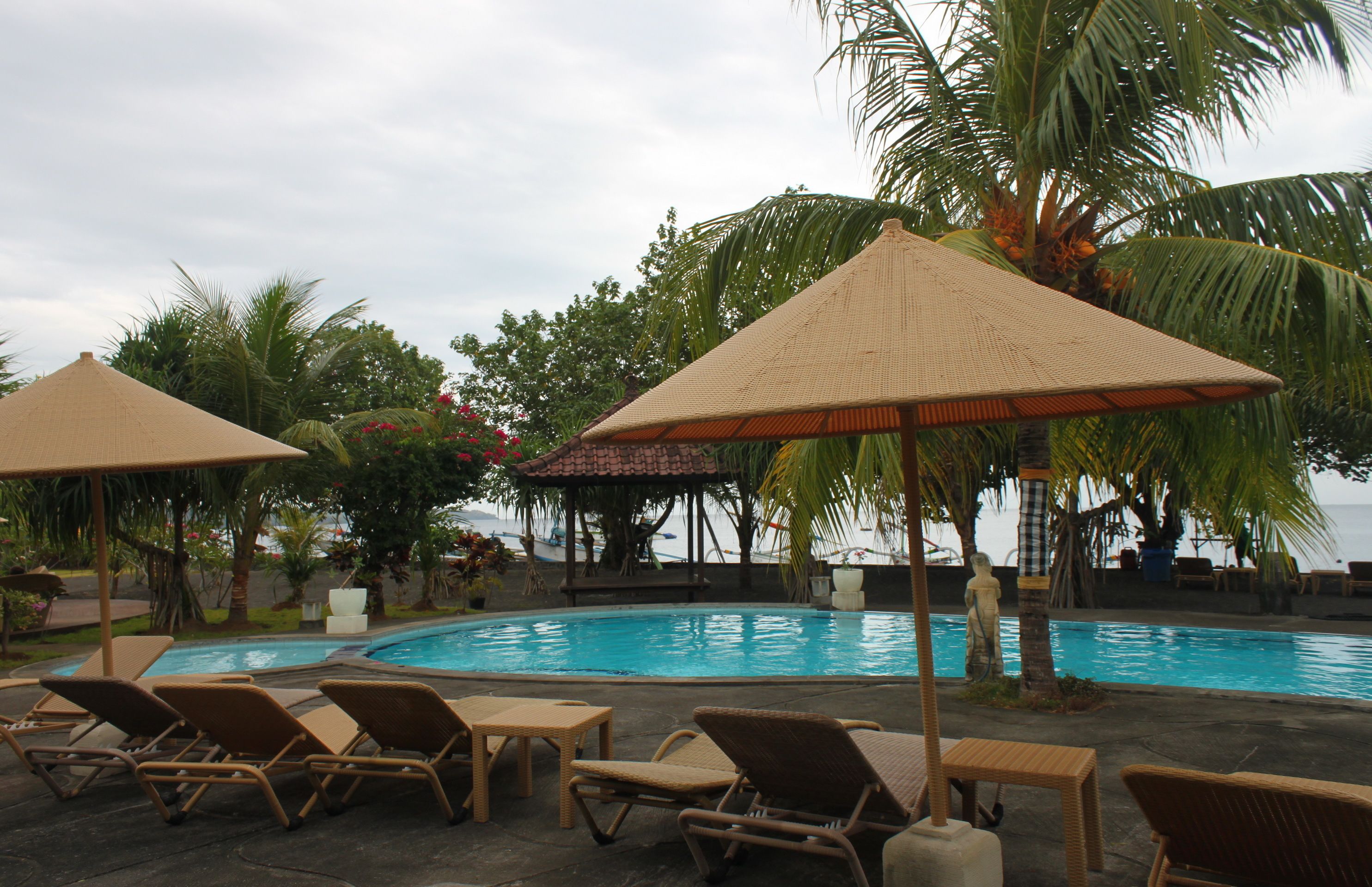 A pool area with lounge chairs and umbrellas, surrounded by palm trees and a view of the ocean.