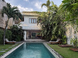 Una piscina con borde de piedra, rodeada de abundante vegetación y palmeras.
