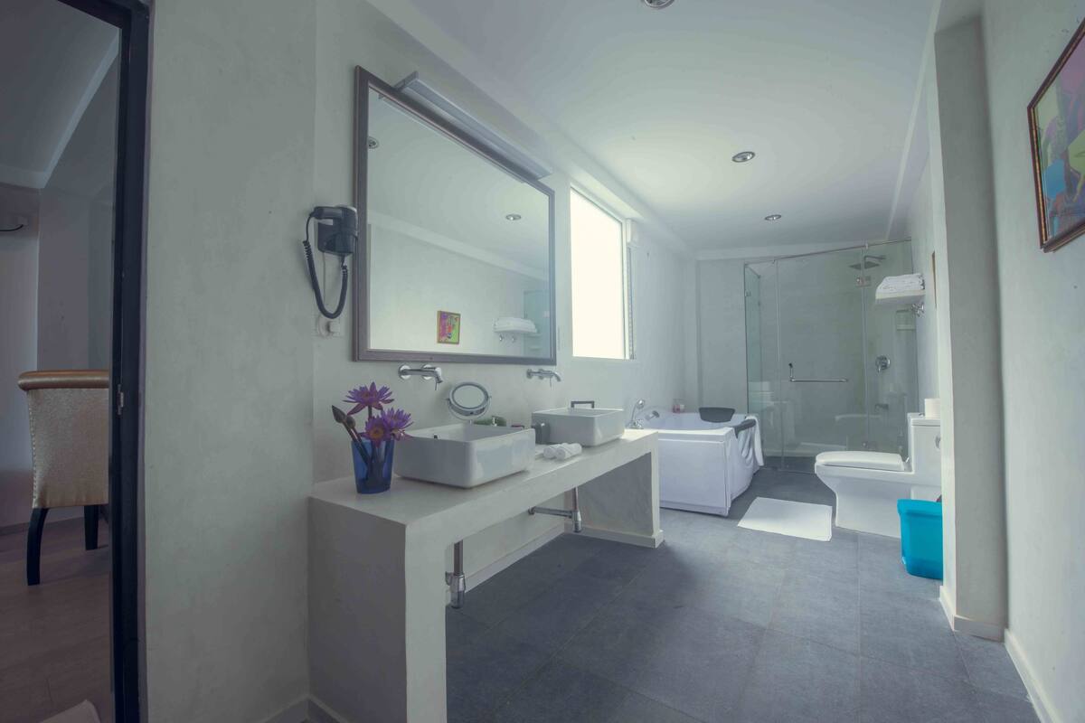 free toiletries, hair dryer, bathrobes, bidet