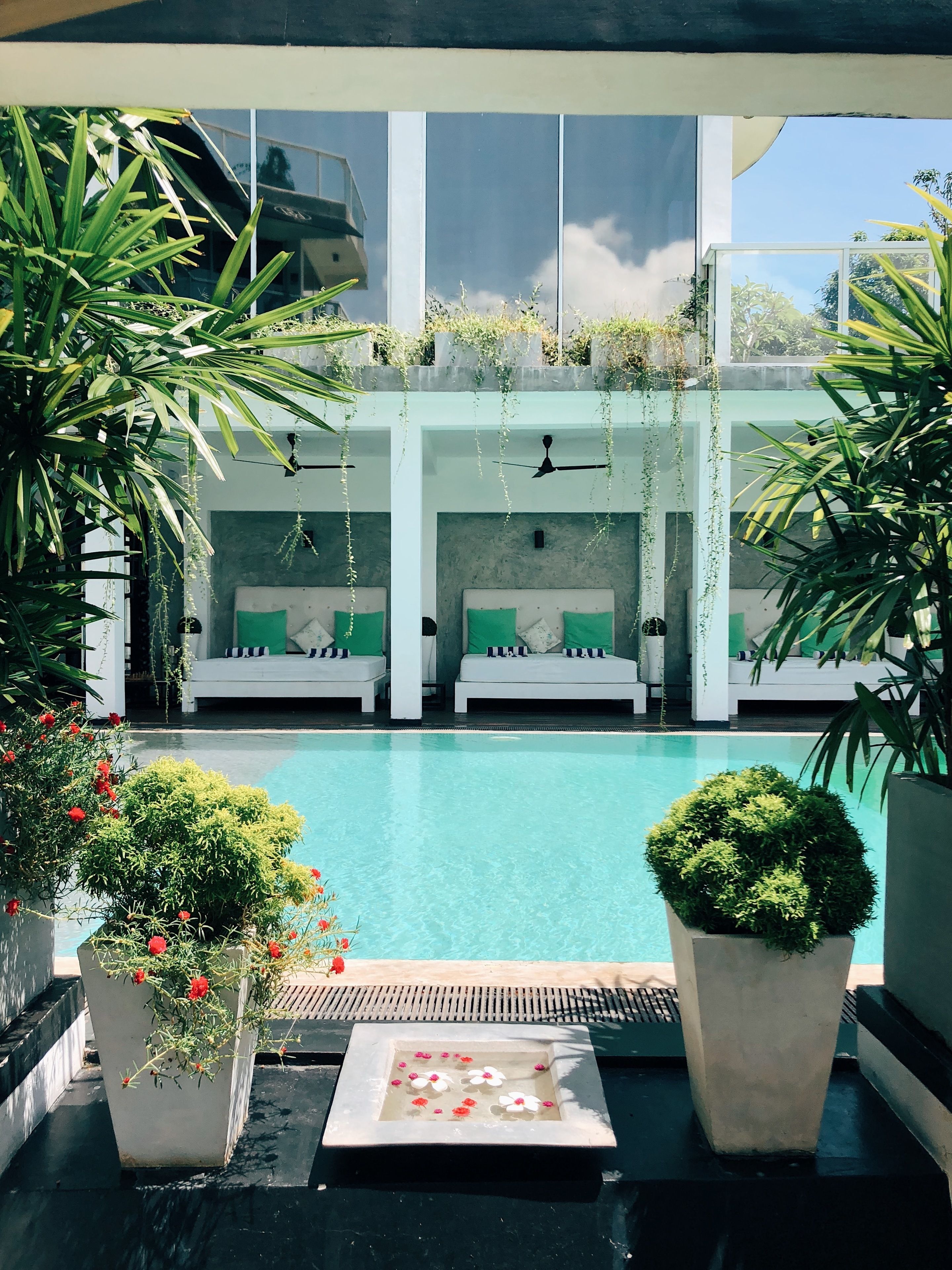 A pool area with three white lounge chairs, a small water feature with flowers, and potted plants.
