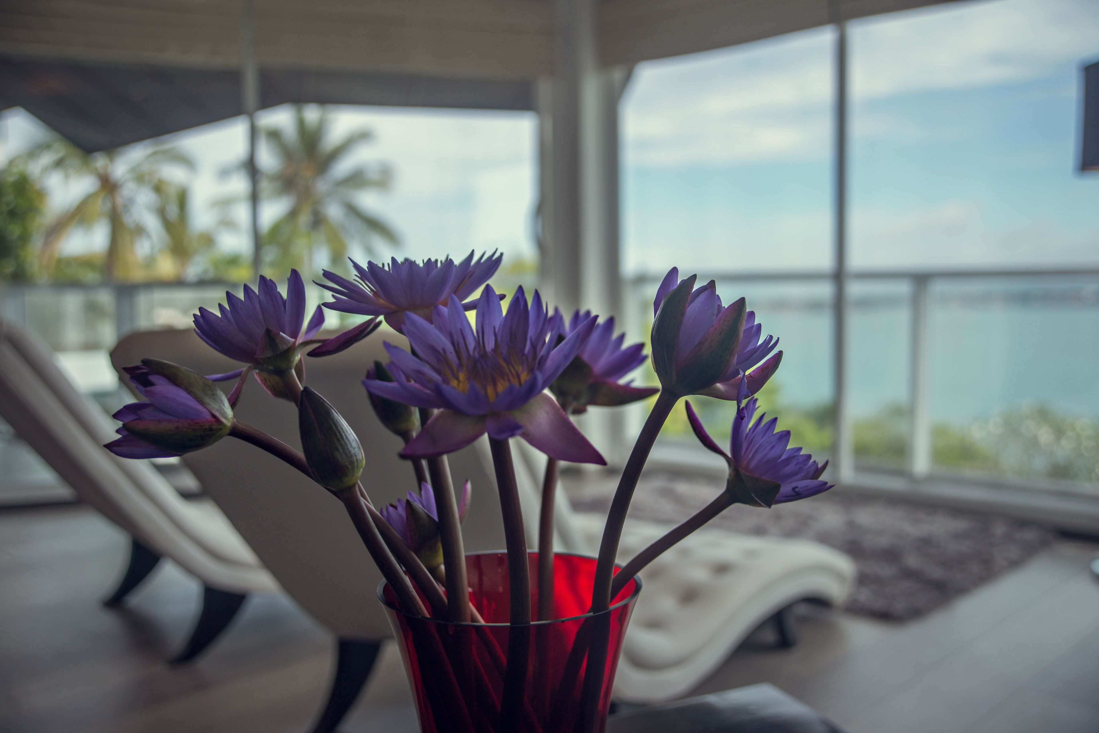 suite with sea view | view from room