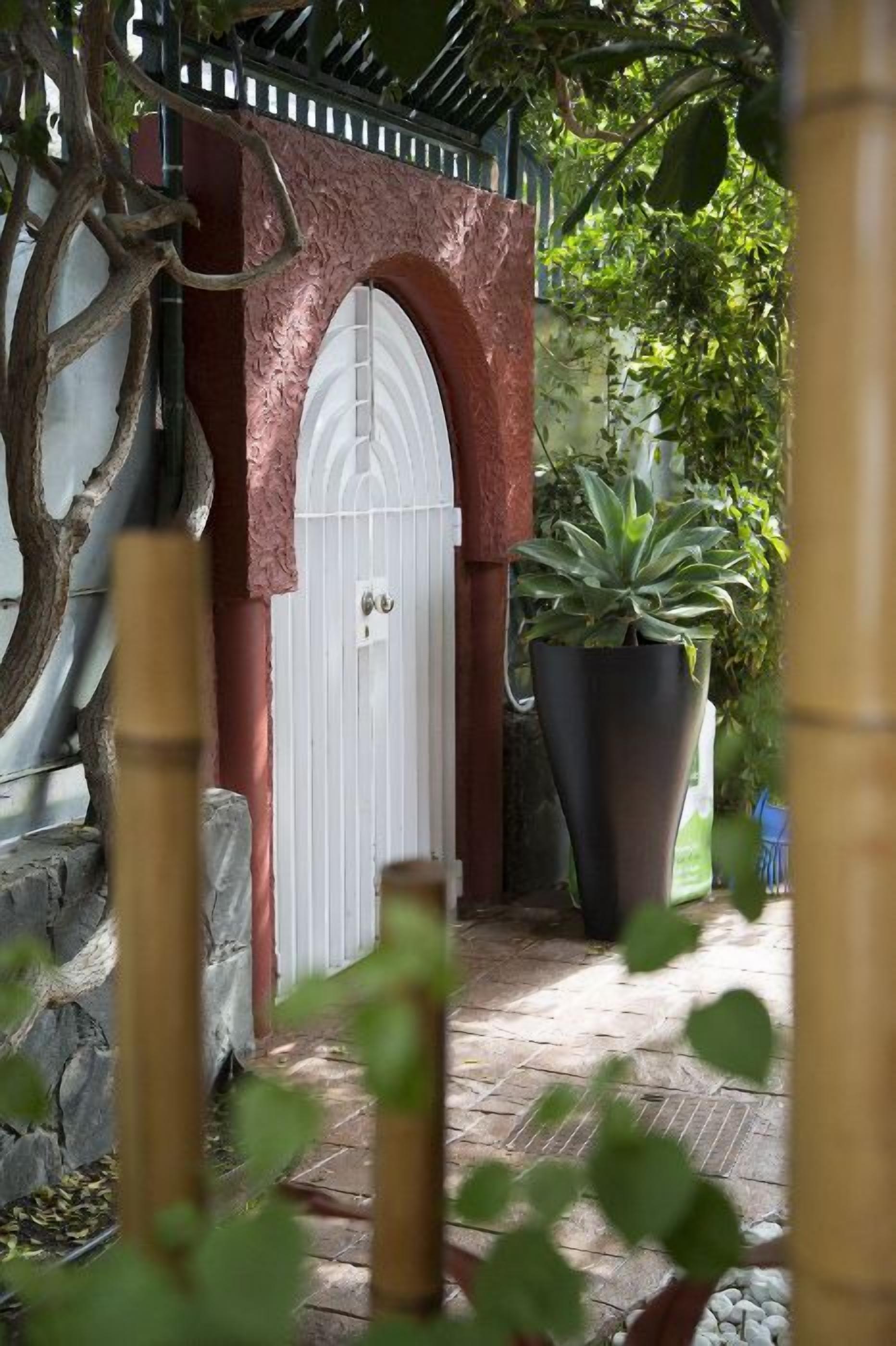 A gated entrance with a white door, a large potted plant, and a stone wall.
