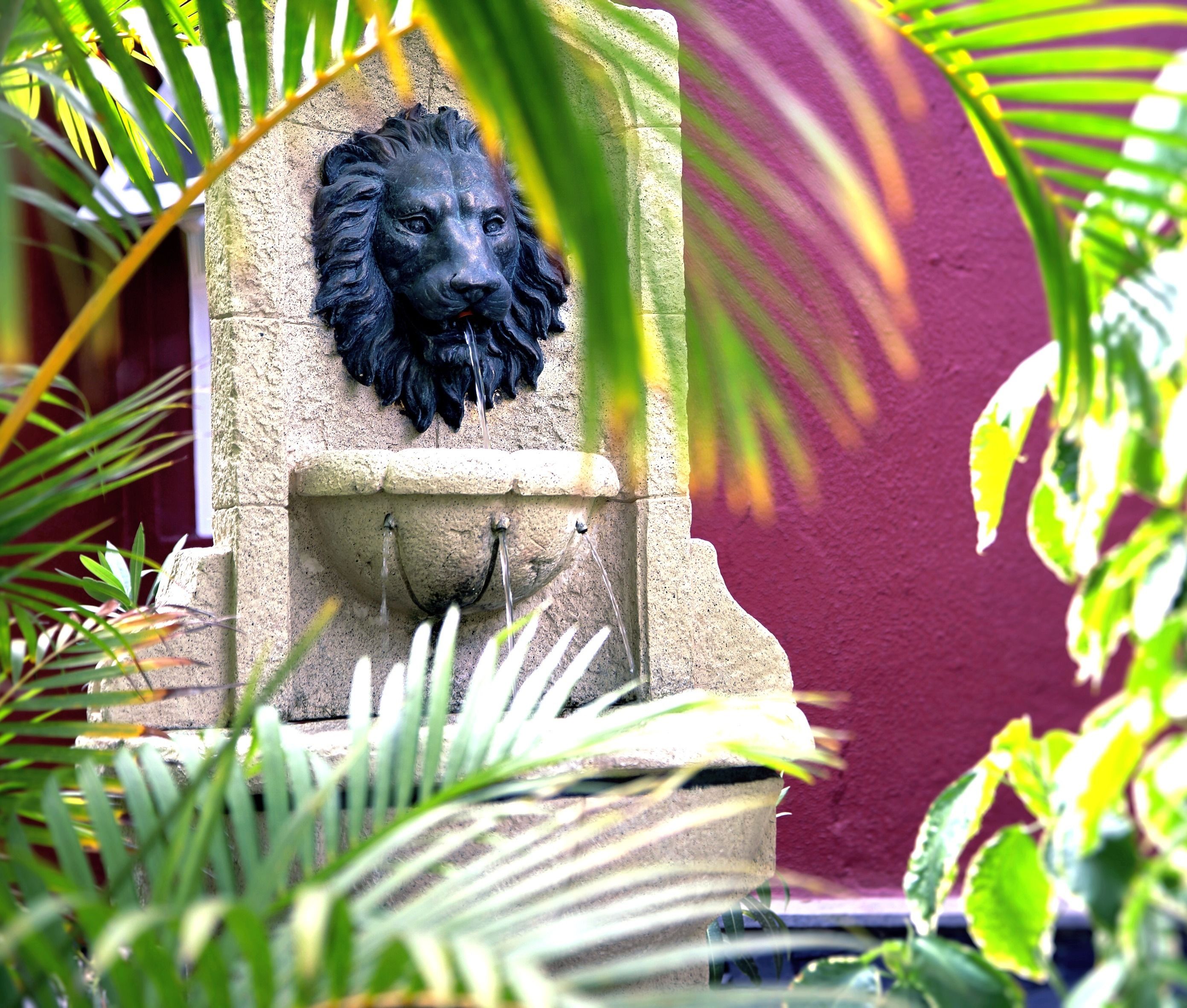 Una fuente de piedra con escultura de cabeza de león, rodeada de abundante follaje verde.
