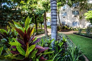 Un exuberante jardín con variada flora, un sendero y un edificio con numerosas ventanas al fondo.
