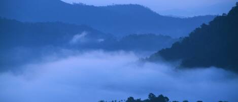Un paisaje montañoso con bosques densos y valles cubiertos de niebla.