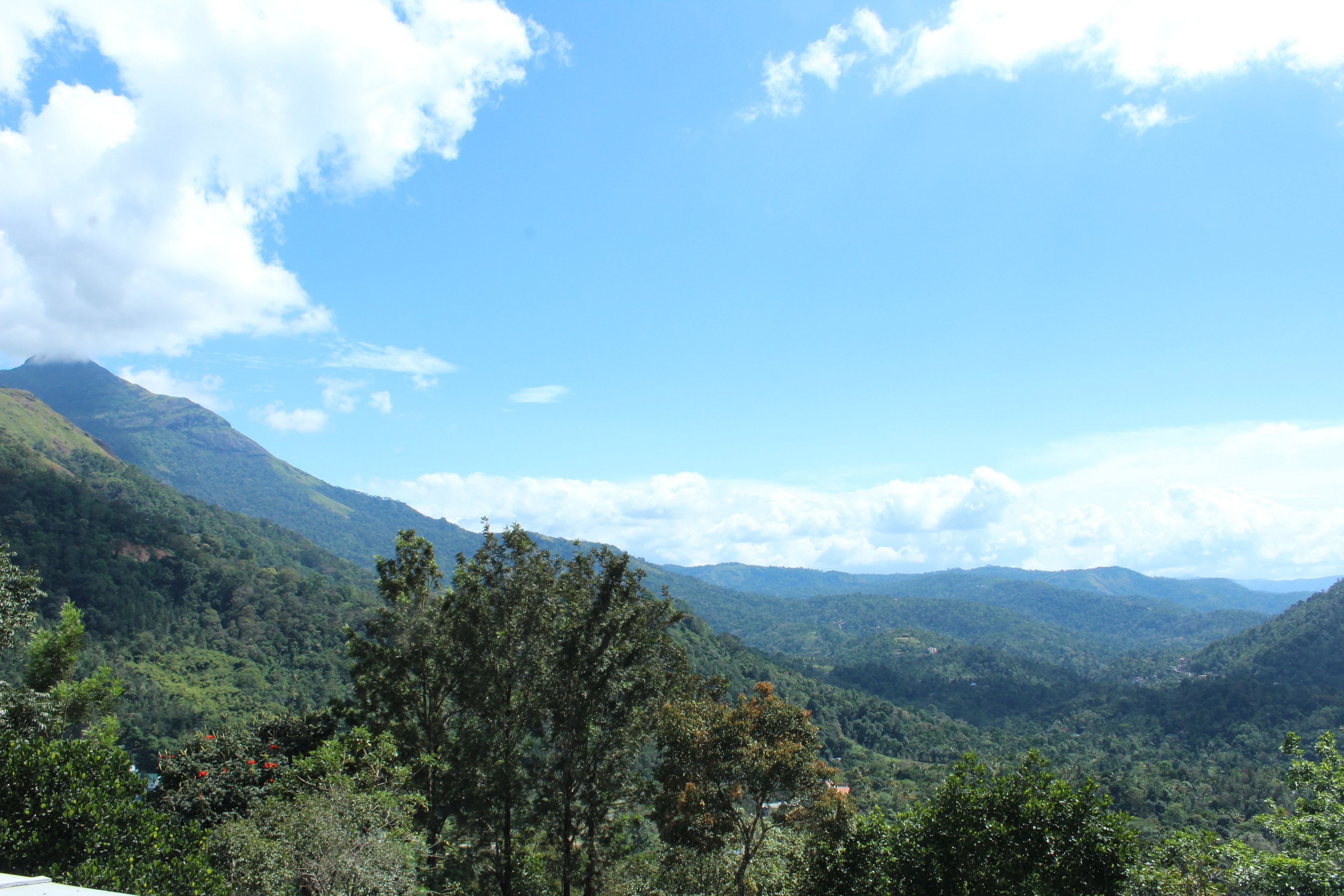 A mountainous landscape with dense green forests and a clear blue sky.