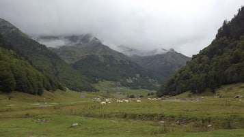 Paesaggio montuoso con una valle, prati verdi e un gregge di pecore.