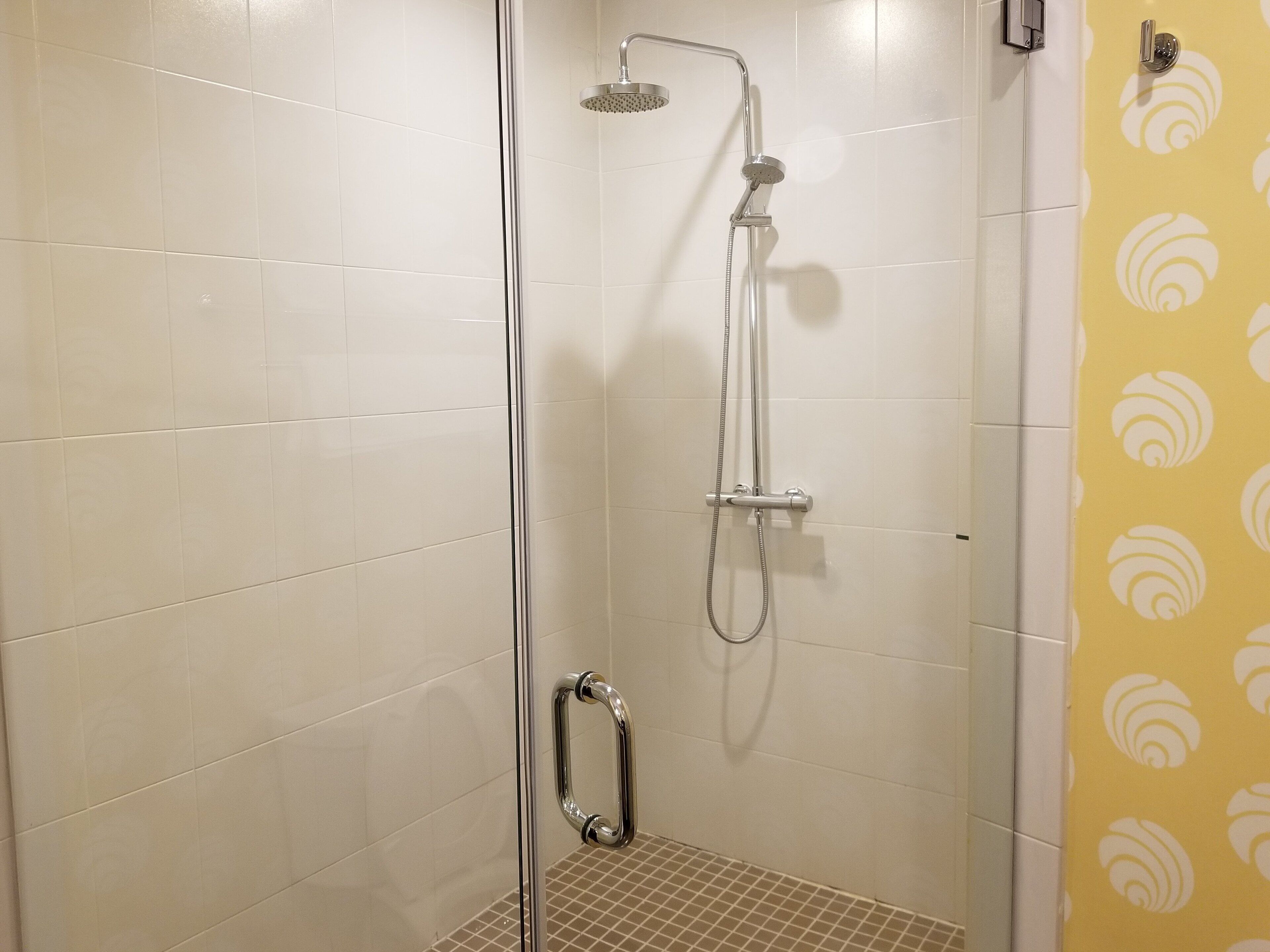 A glass-enclosed shower area with a handheld showerhead and a fixed overhead showerhead.
