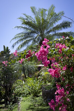 View from property - Hotel El Jardín (Cóbano)