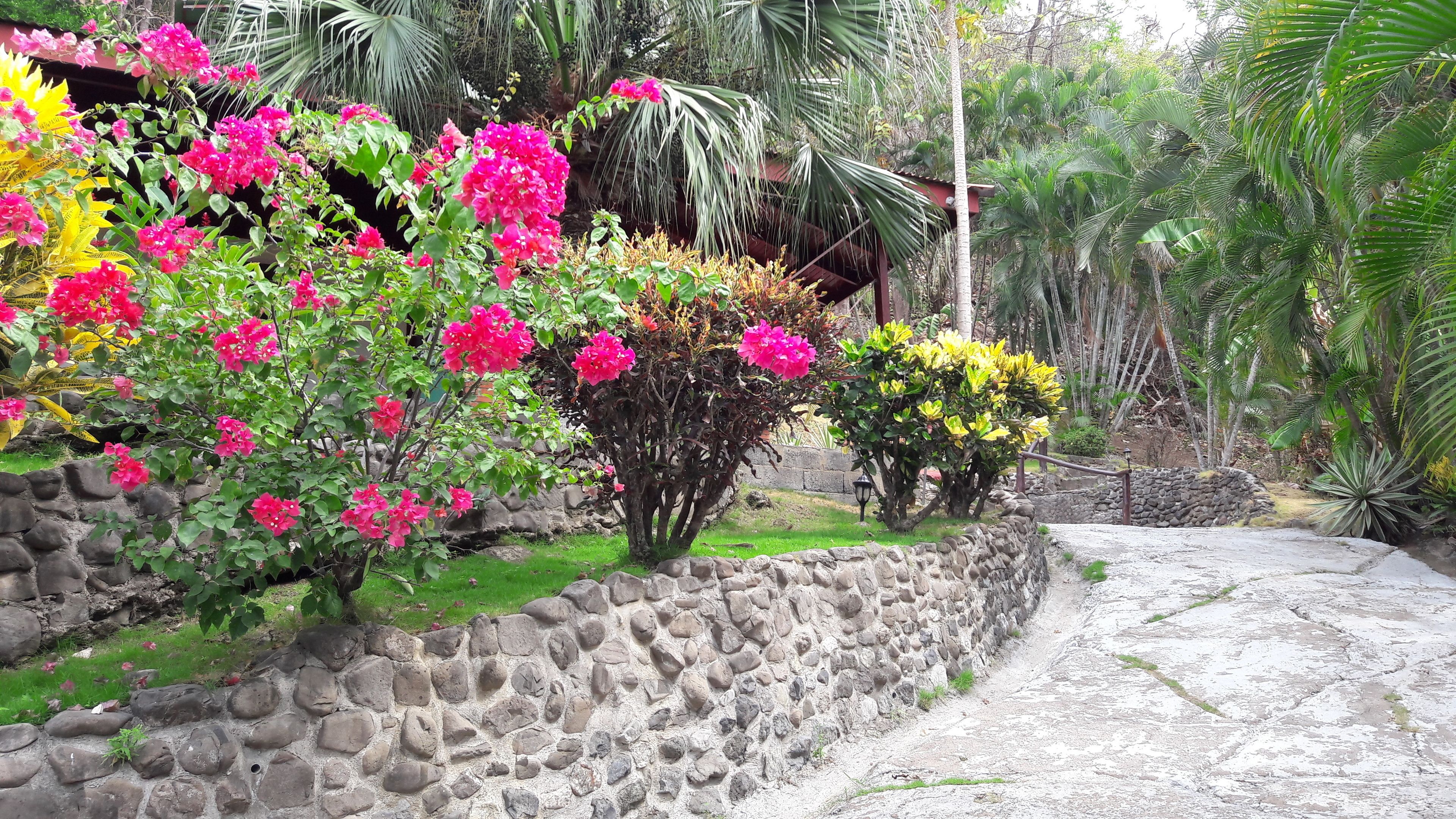 Un jardín con flores rosadas y amarillas, un muro de piedra y diversas plantas tropicales.