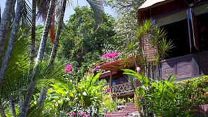 Un jardin tropical avec un escalier en bois menant à une structure également en bois.
