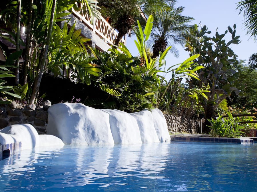 Outdoor pool, sun loungers