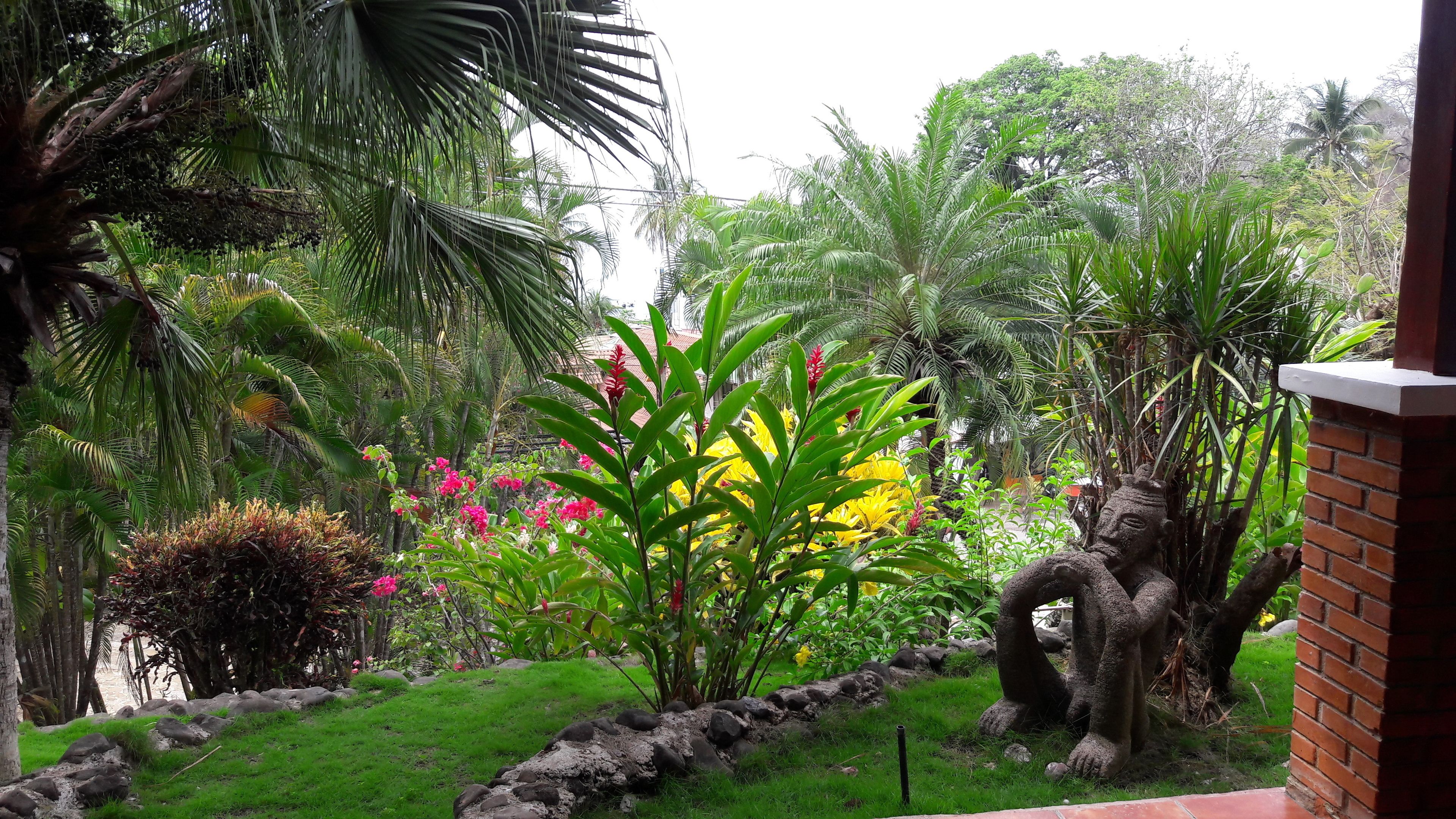 Un exuberante jardín con diversas plantas y un sendero de piedra.