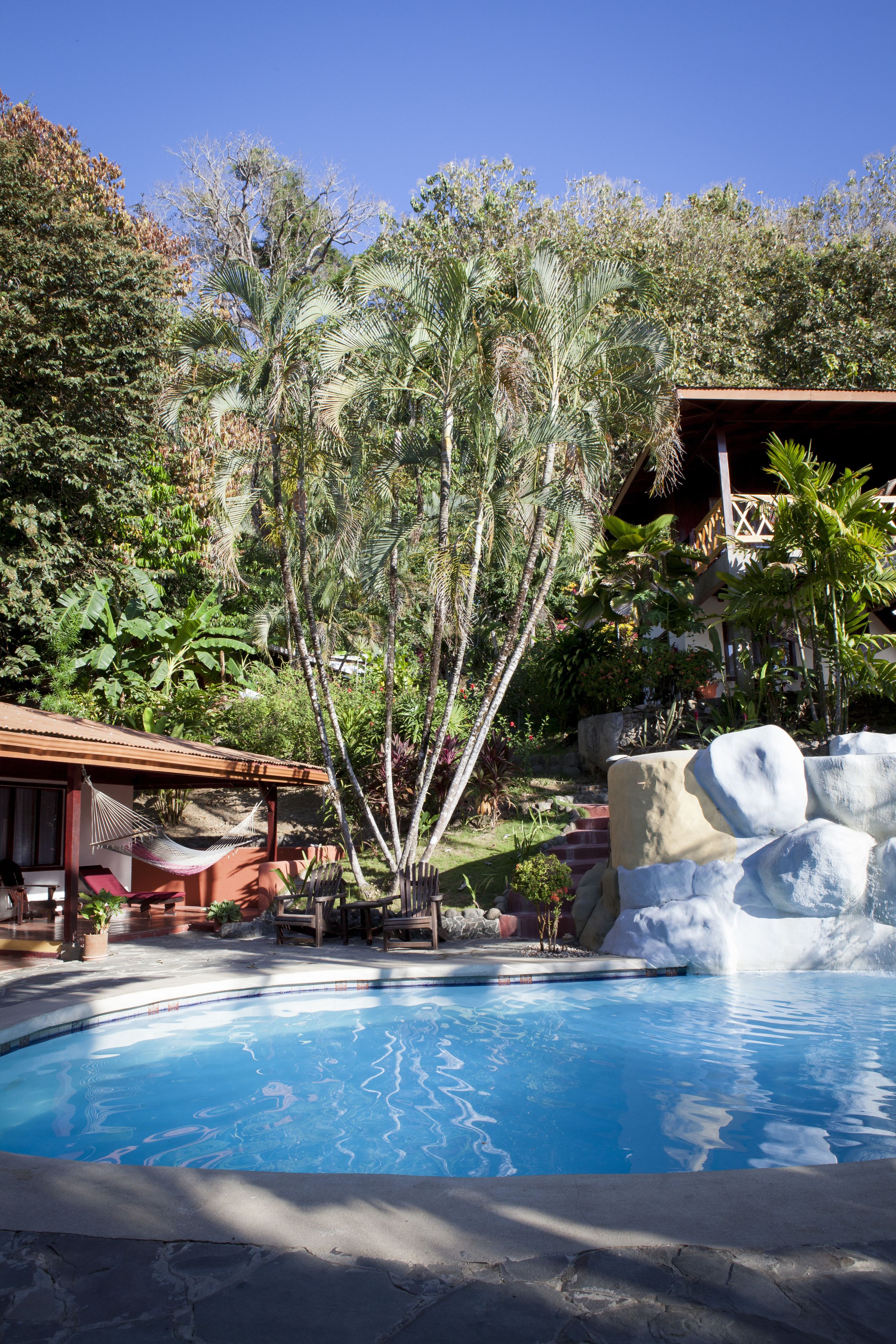 A pool with a tropical garden, a hammock, and a rock formation.