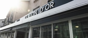 Hôtel Restaurant Le Lion dOr