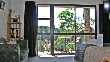 32-inch LCD TV with satellite channels, TV