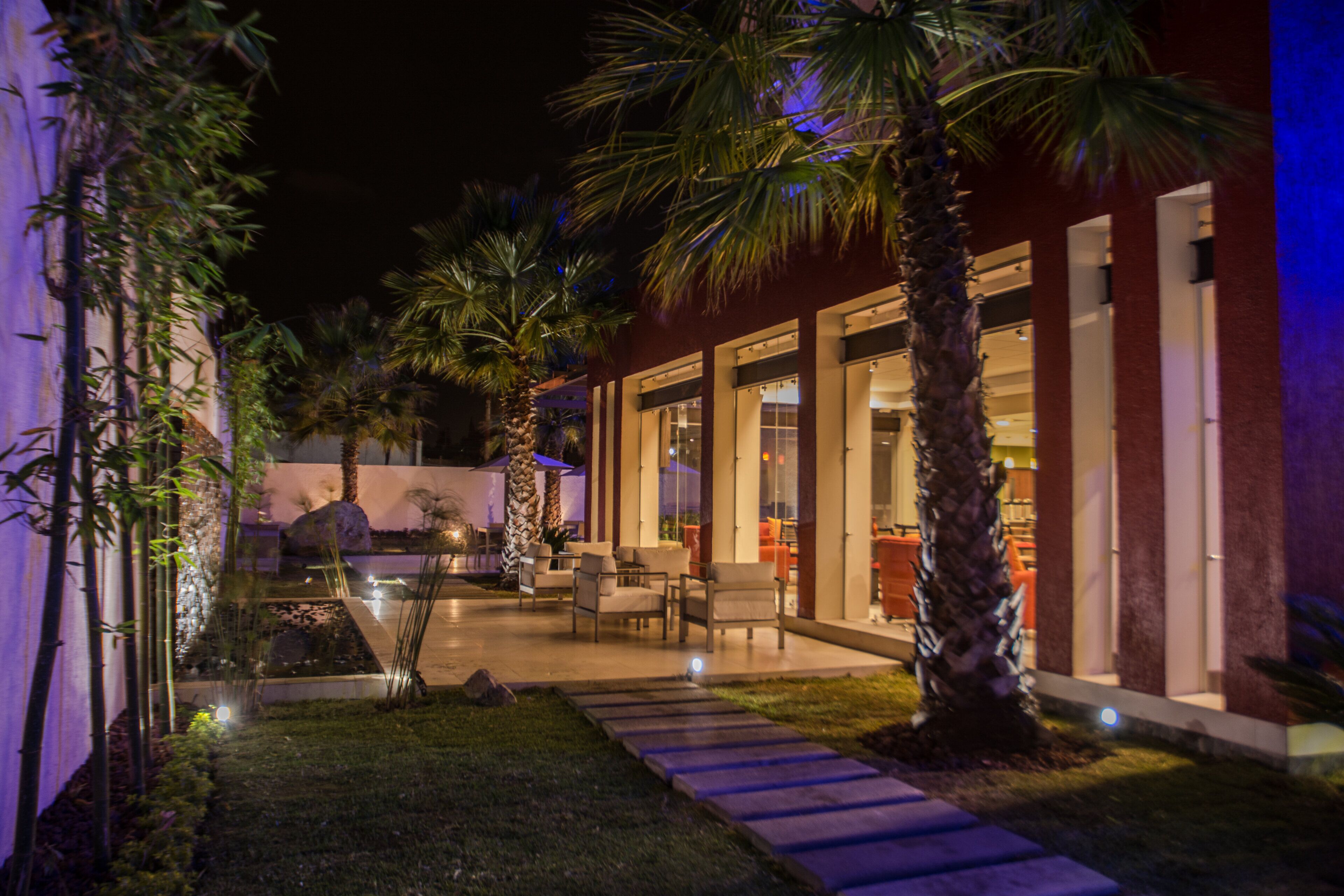 A well-lit outdoor patio area with seating, palm trees, and a stone pathway.