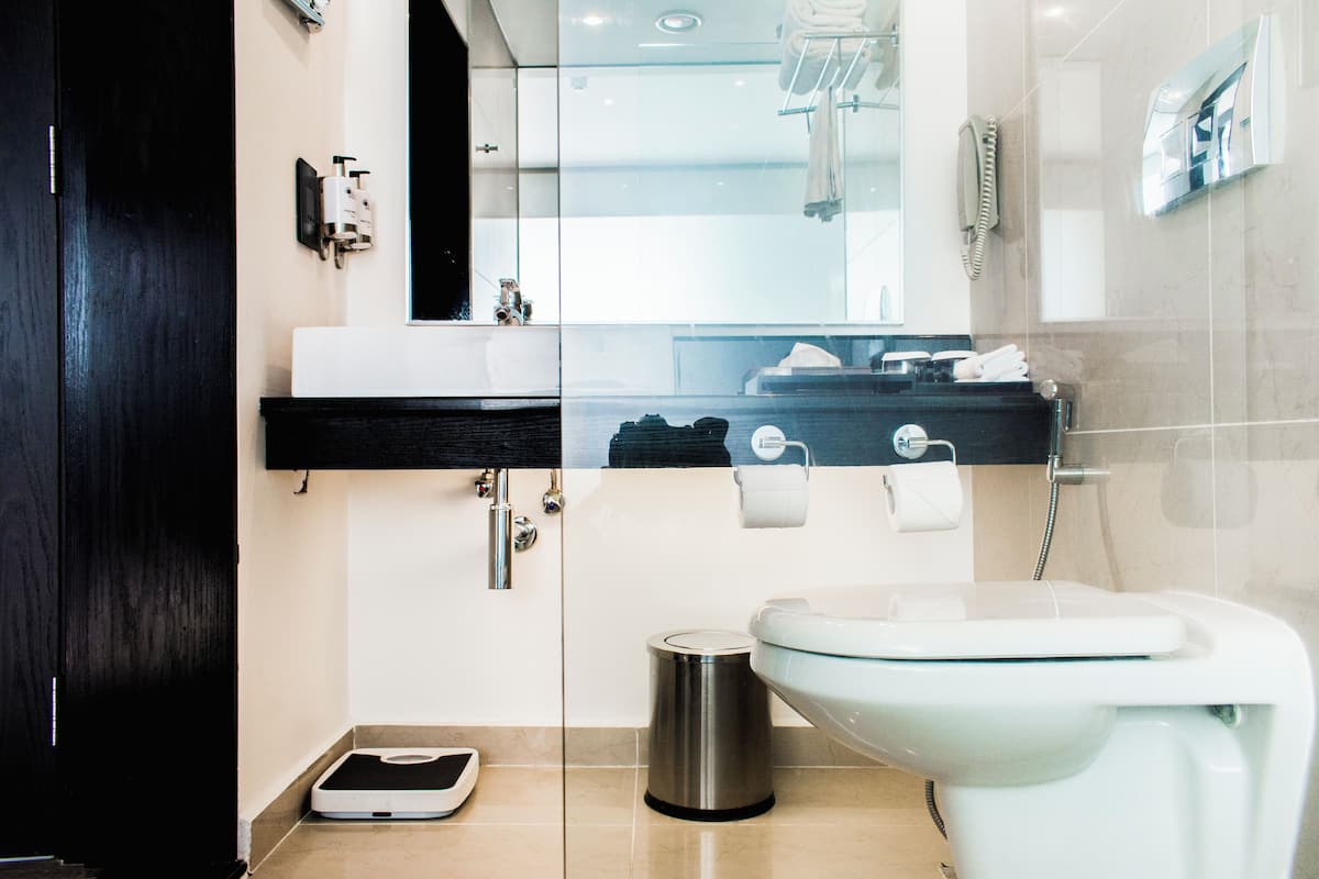 combined shower/bathtub, free toiletries, hair dryer, towels