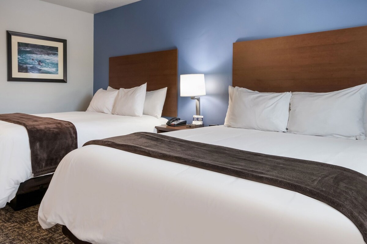 A hotel room with two beds, a nightstand with a lamp, a framed picture on the wall, and a carpeted floor.