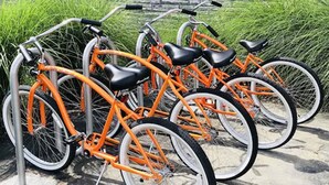 Een rij oranje fietsen geparkeerd tegen een metalen rek.