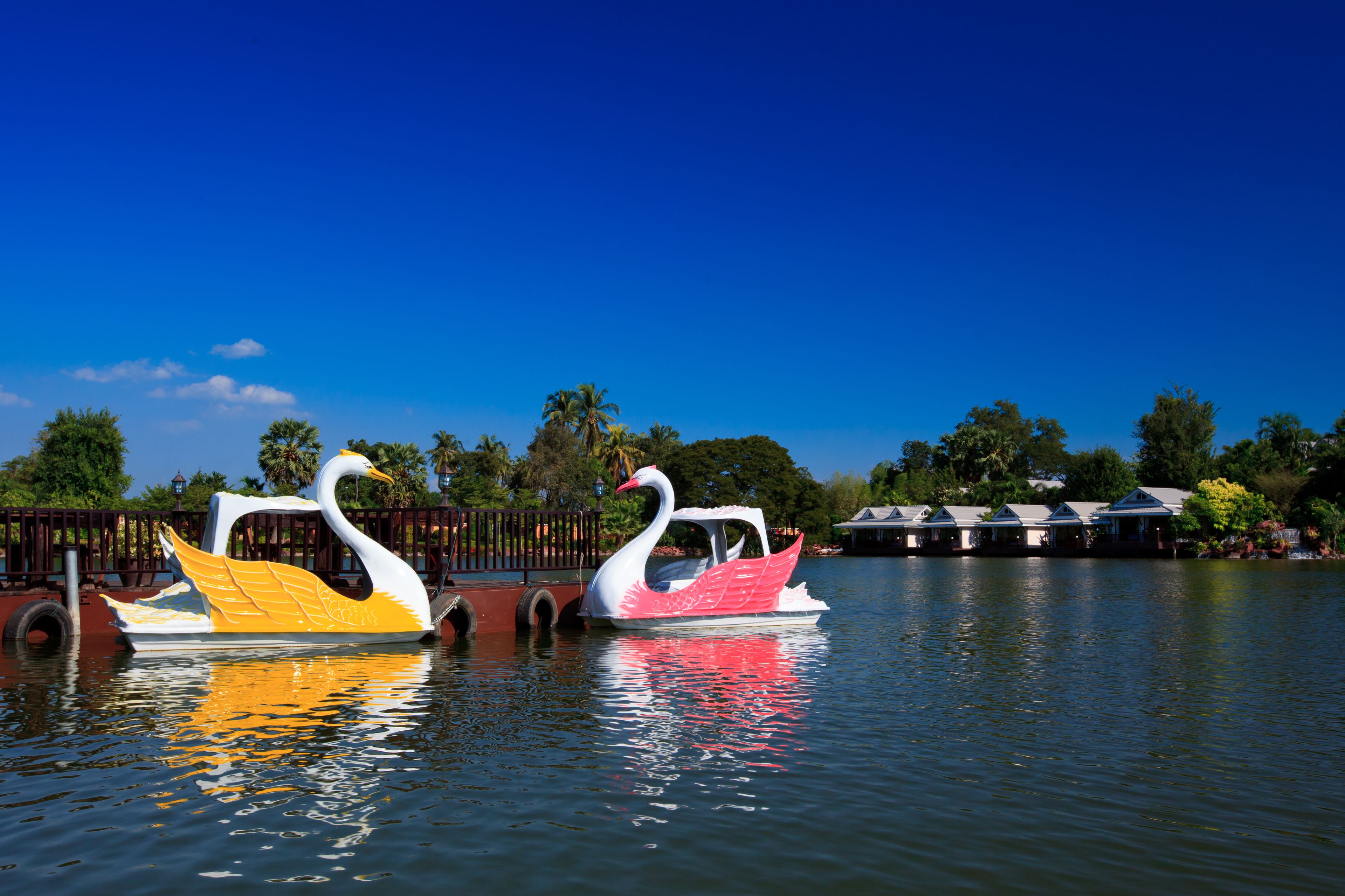 Dos grandes barcas con forma de cisne en un lago tranquilo, cielo azul despejado y una valla de madera al fondo.