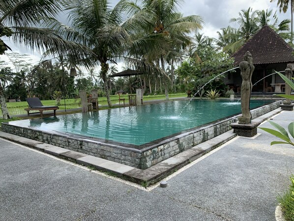 A rectangular pool with a stone border, surrounded by palm trees and a gazebo.