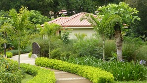 Ein Gartenweg führt zu einem Gebäude mit rotem Ziegeldach, umgeben von üppiger Bepflanzung und verschiedenen Pflanzen.