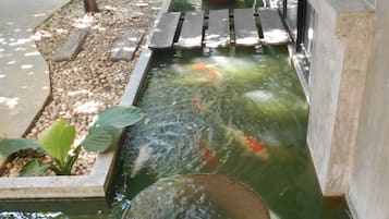 Jardín