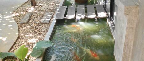 A koi pond with a wooden bridge and a large pot in the center.