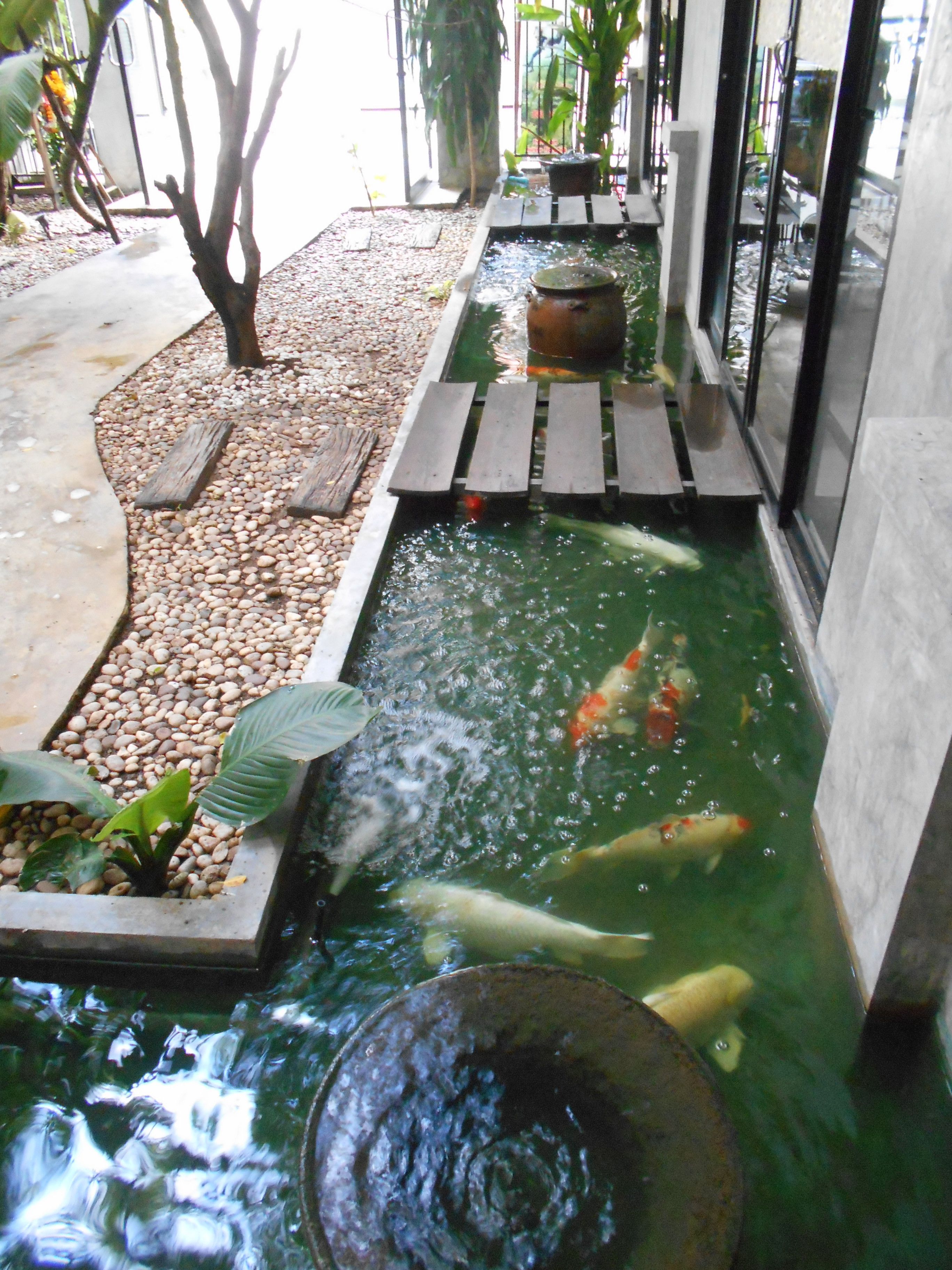 Foto - G2 Boutique Hotel