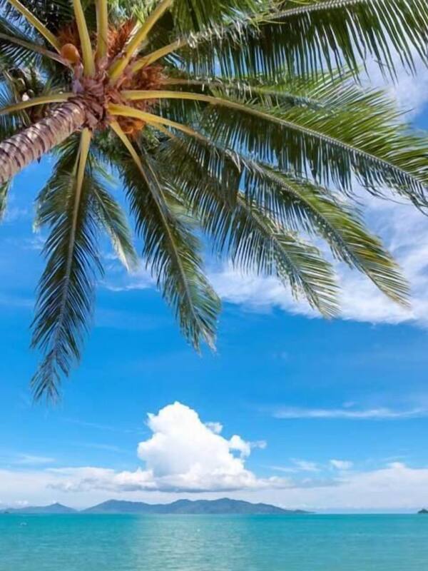 On the beach, beach bar