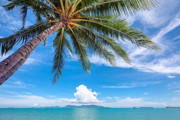 On the beach, beach bar