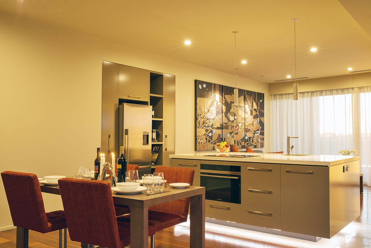 The Frames — image 19