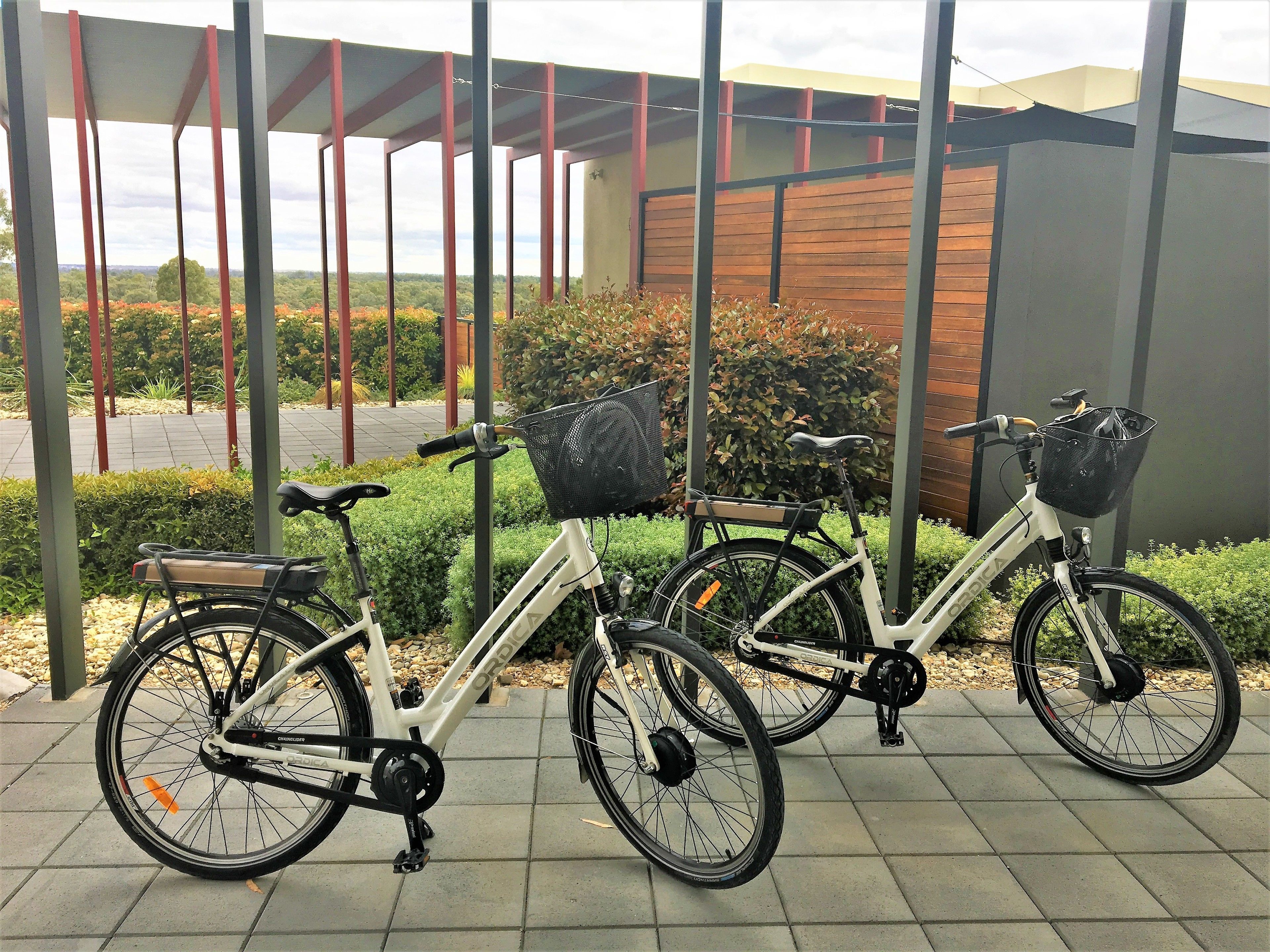 The Frames — image 29