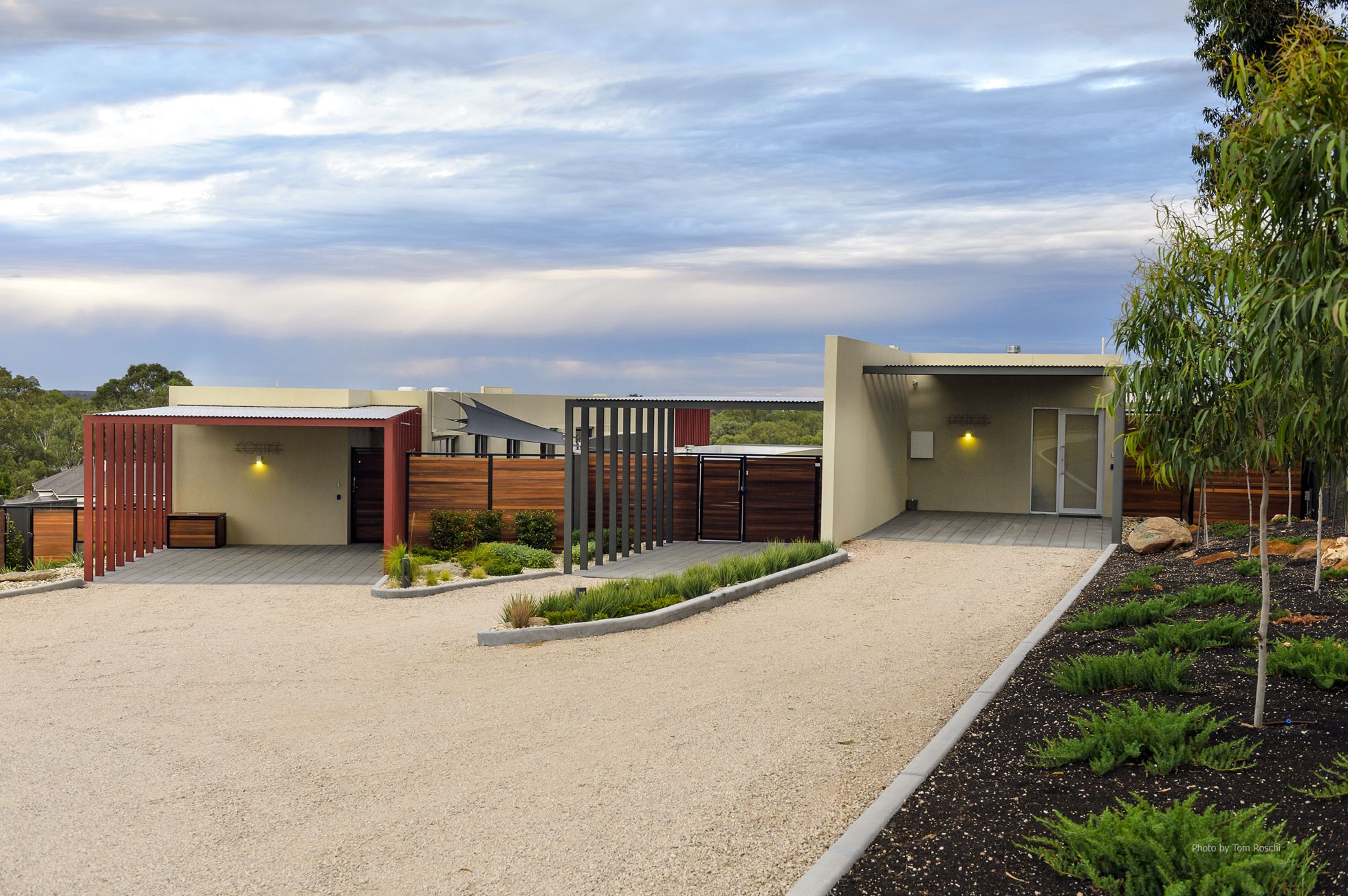 The Frames — image 25