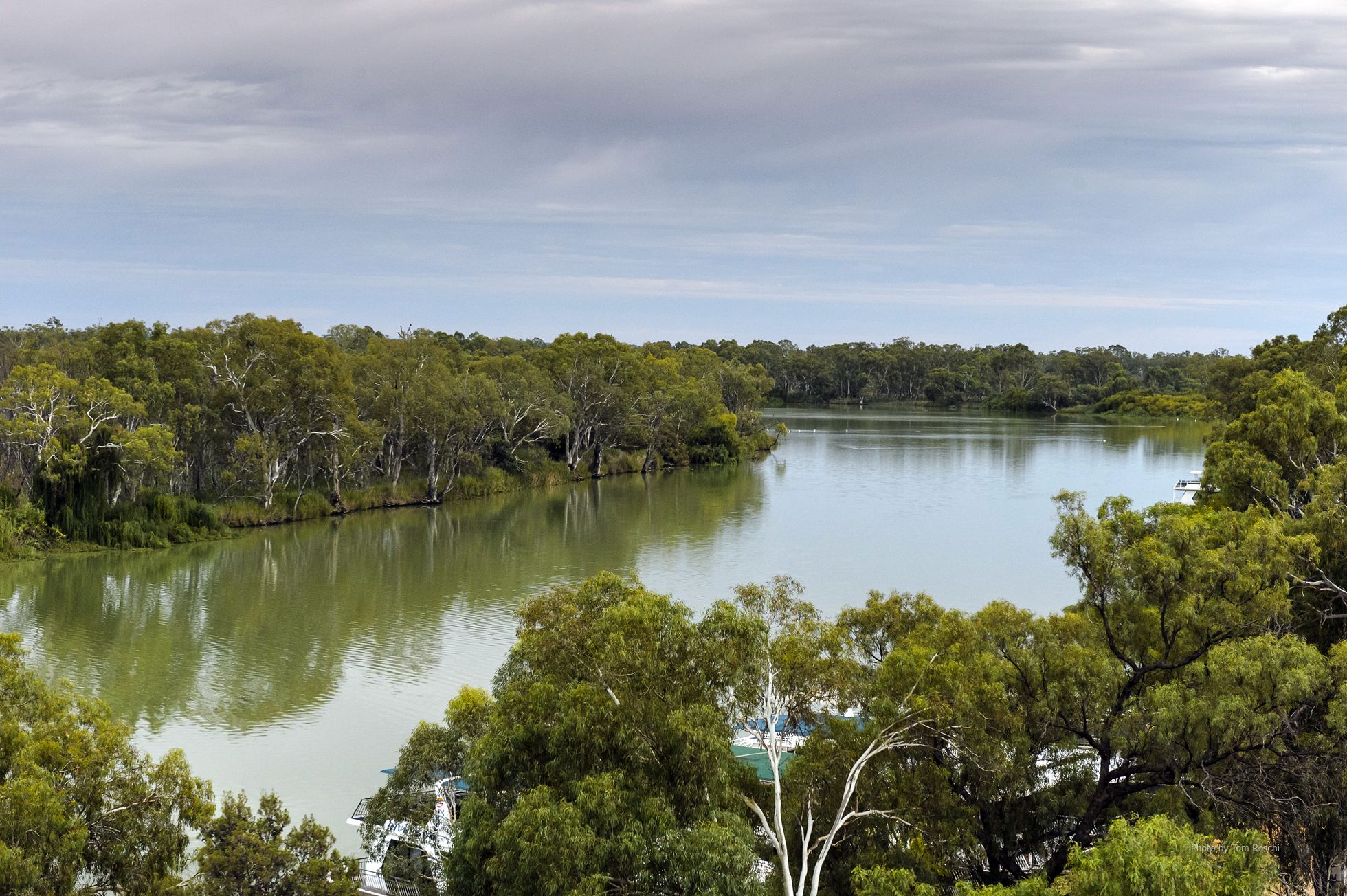 The Frames — image 24