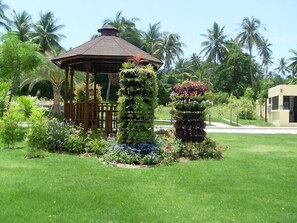 Garden - Samui Grove Villas (Koh Samui)