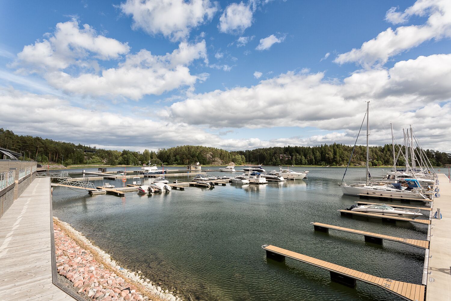 A marina with multiple boats docked, a wooden dock, and a forested shoreline.