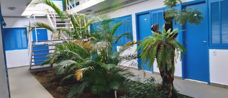 Jardin