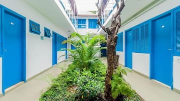 Jardim