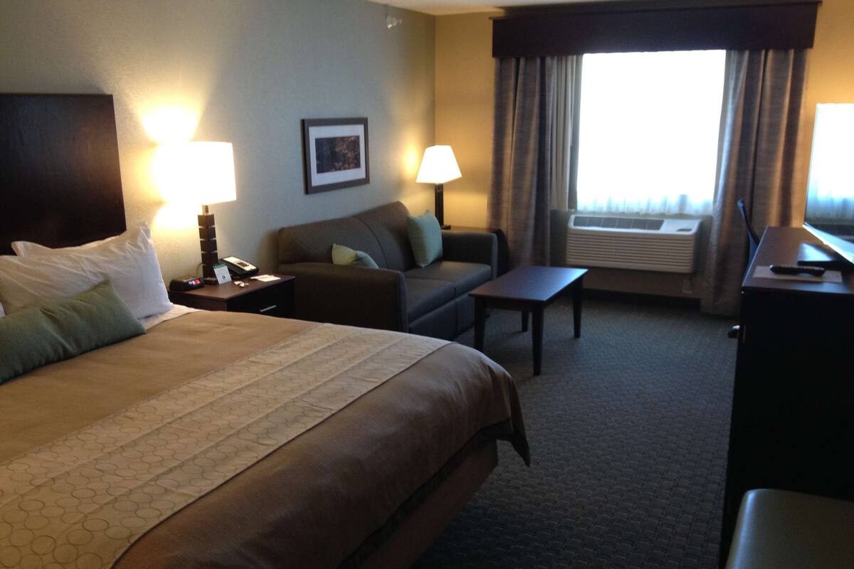 A hotel room with a large bed, a sofa, a small table, and a desk. There is a window with curtains, a lamp, and a picture on the wall.