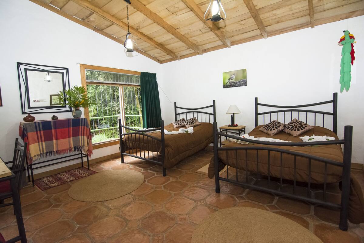 A room with two beds, a window with a view of greenery, a table with a blanket, and a hanging plant.