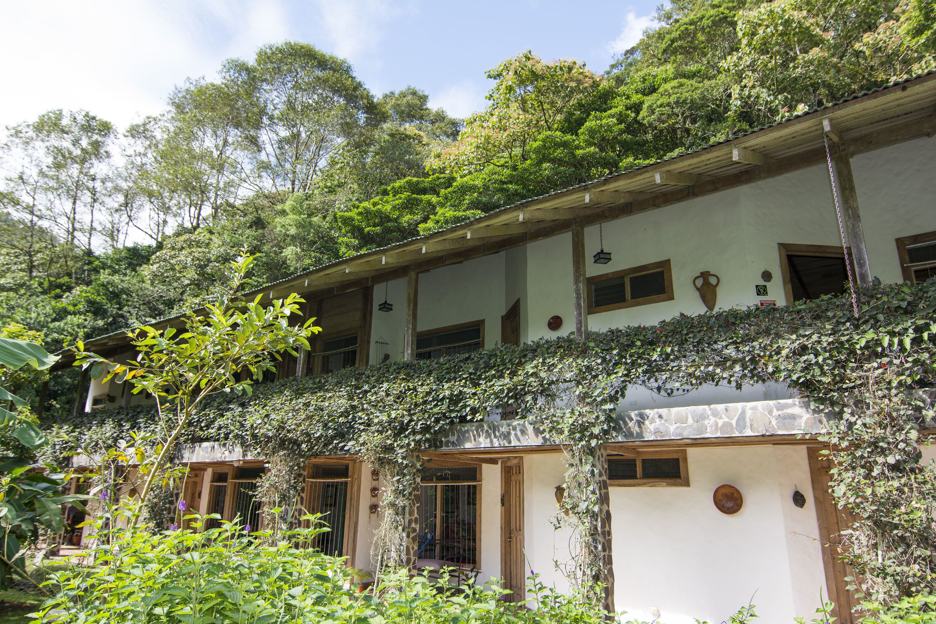 Pemandangan dari kamar