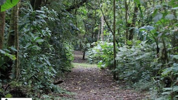 住宿地面